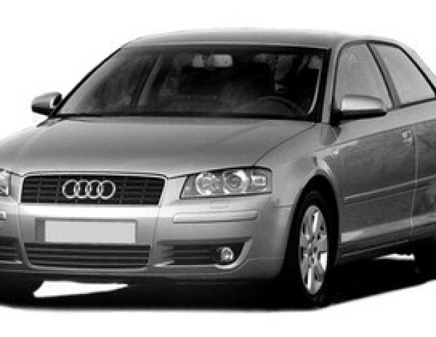 Auto Fußmatten Audi A3 8P (2005-2008)
