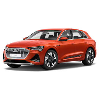 Auto Fußmatten Audi e-tron  (2018-…)