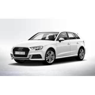 Auto Fußmatten Audi A3 E-tron (2014-2020)