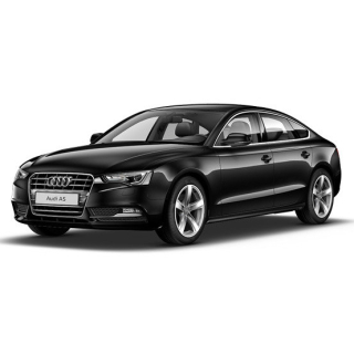 Auto Fußmatten Audi A5 (2009-2011)
