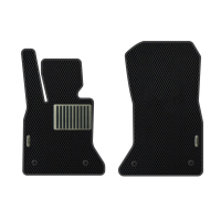 Auto Fußmatten BMW F10 5-Series (2010-2013)