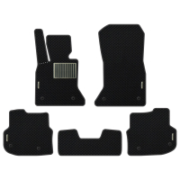 Auto Fußmatten BMW F10 5-Series (2010-2013)