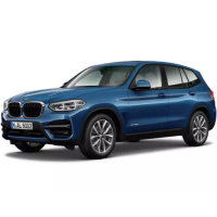 Auto Fußmatten BMW X3 G01 (2017-…)