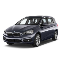 Auto Fußmatten BMW F46 2-Series (2014-…)