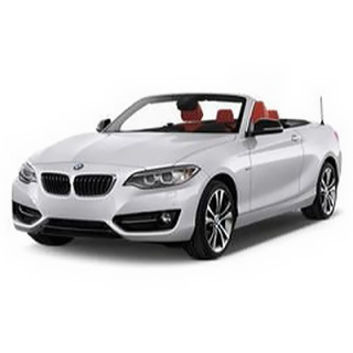Auto Fußmatten BMW F22 2-Series (2013-…)