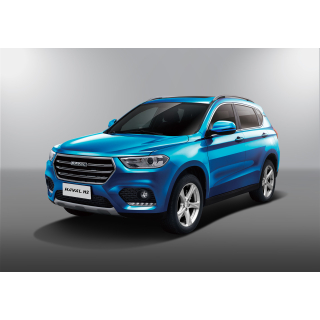 Auto Fußmatten Great Wall Haval H2 (2018-…)