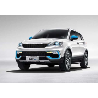 Auto Fußmatten Leopaard CS9EV (2017-…)