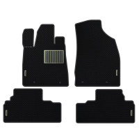 Auto Fußmatten Lexus RX 350 (2008-2012)