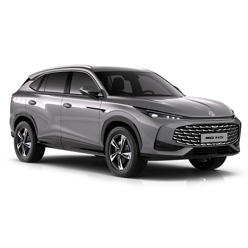 Auto Fußmatten MG HS 2024-2025