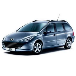 Auto Fußmatten Peugeot 307 SW (2002-2008)