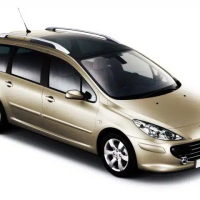 Auto Fußmatten Peugeot 307 (2001-2008)