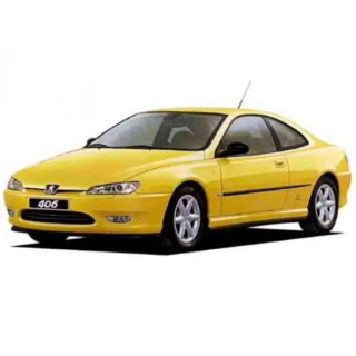 Auto Fußmatten Peugeot 406 (1997-2001)