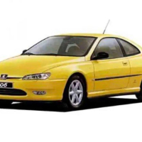 Auto Fußmatten Peugeot 406 (1997-2001)