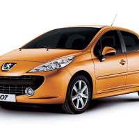 Auto Fußmatten Peugeot 207 (2006-2012)