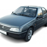Auto Fußmatten Peugeot 405 (1992-1996)