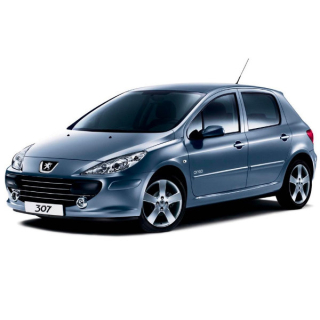 Auto Fußmatten Peugeot 307 (2001-2005)