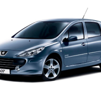 Auto Fußmatten Peugeot 307 (2001-2005)