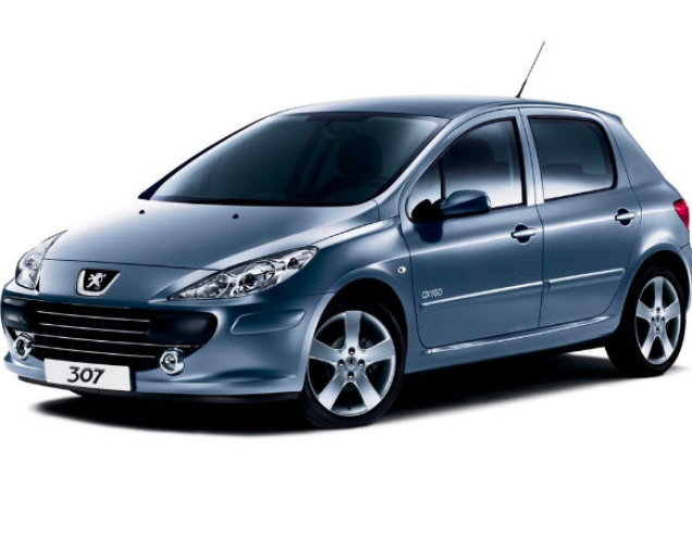 Auto Fußmatten Peugeot 307 (2001-2005)