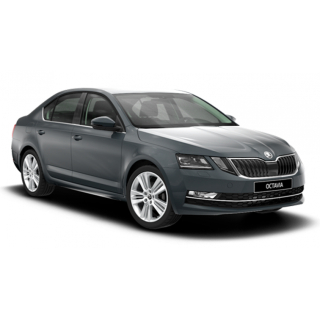 Auto Fußmatten Skoda Octavia A7 (2017-2019)