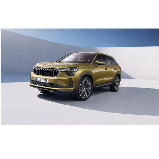 Auto Fußmatten Skoda Kodiaq MQB (2024-...)