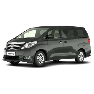 Auto Fußmatten Toyota Alphard (2002-2008)